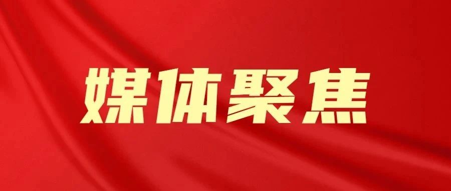 xc体育直播