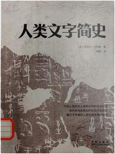 xc体育安全通道图片