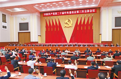 xc体育直播图片