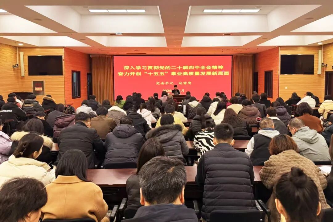 xc体育欧洲杯